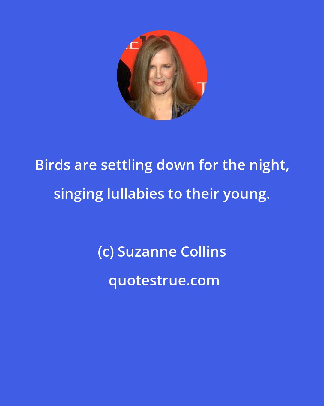 Suzanne Collins: Birds are settling down for the night, singing lullabies to their young.