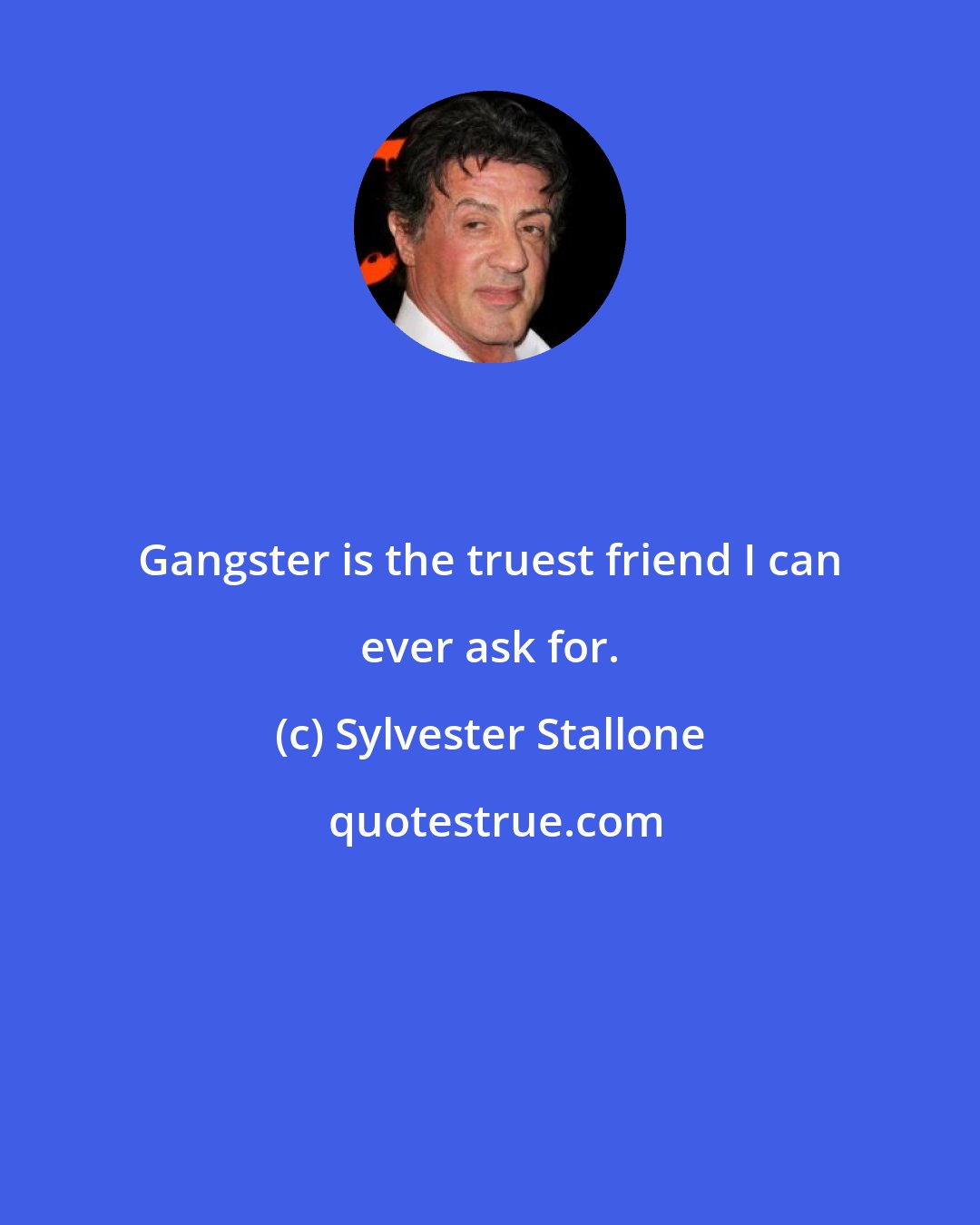 Sylvester Stallone: Gangster is the truest friend I can ever ask for.