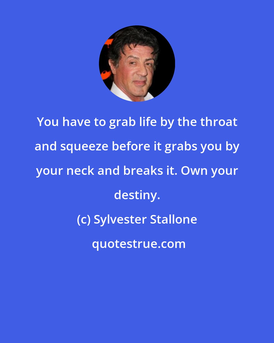 Sylvester Stallone: You have to grab life by the throat and squeeze before it grabs you by your neck and breaks it. Own your destiny.