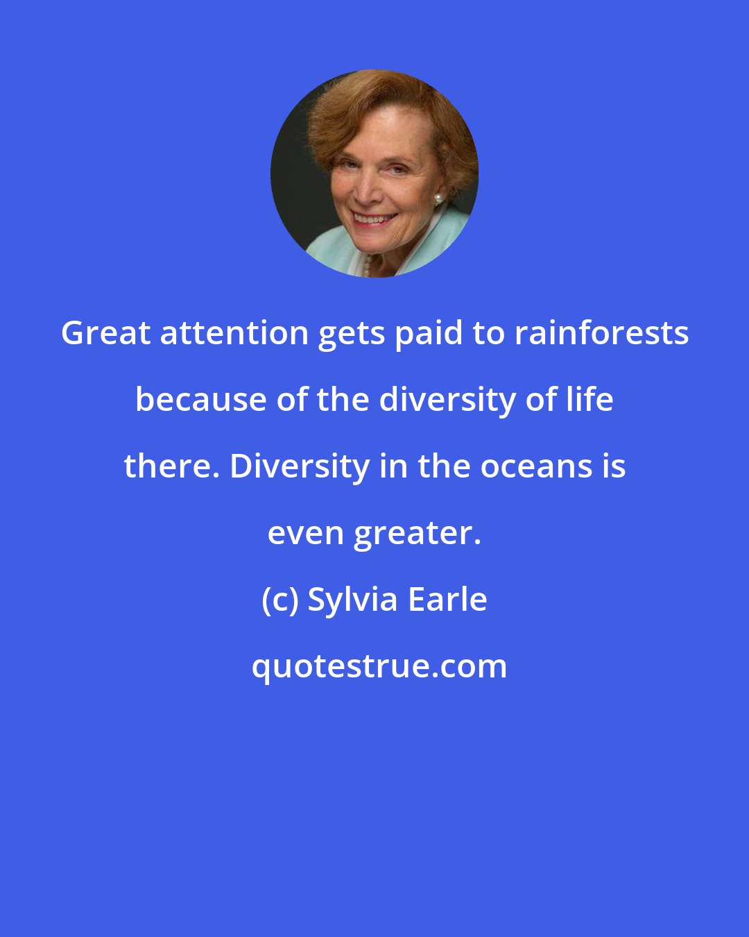 Sylvia Earle: Great attention gets paid to rainforests because of the diversity of life there. Diversity in the oceans is even greater.