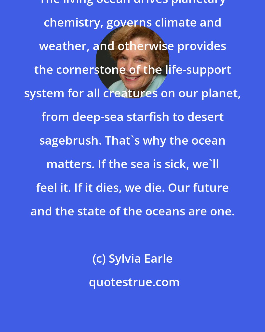 Sylvia Earle: The living ocean drives planetary chemistry, governs climate and weather, and otherwise provides the cornerstone of the life-support system for all creatures on our planet, from deep-sea starfish to desert sagebrush. That's why the ocean matters. If the sea is sick, we'll feel it. If it dies, we die. Our future and the state of the oceans are one.