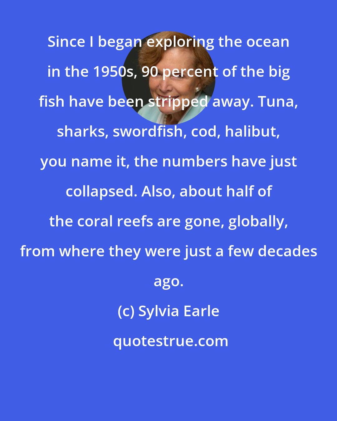 Sylvia Earle: Since I began exploring the ocean in the 1950s, 90 percent of the big fish have been stripped away. Tuna, sharks, swordfish, cod, halibut, you name it, the numbers have just collapsed. Also, about half of the coral reefs are gone, globally, from where they were just a few decades ago.