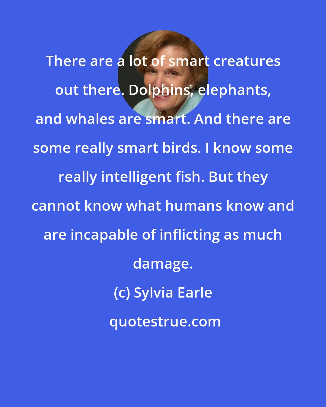 Sylvia Earle: There are a lot of smart creatures out there. Dolphins, elephants, and whales are smart. And there are some really smart birds. I know some really intelligent fish. But they cannot know what humans know and are incapable of inflicting as much damage.