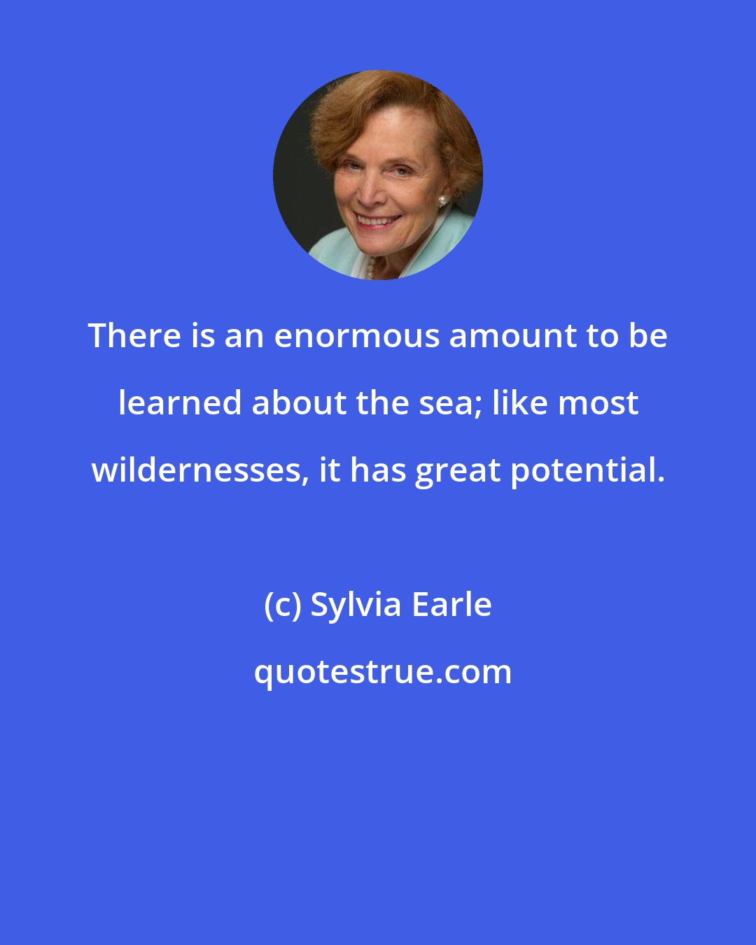 Sylvia Earle: There is an enormous amount to be learned about the sea; like most wildernesses, it has great potential.