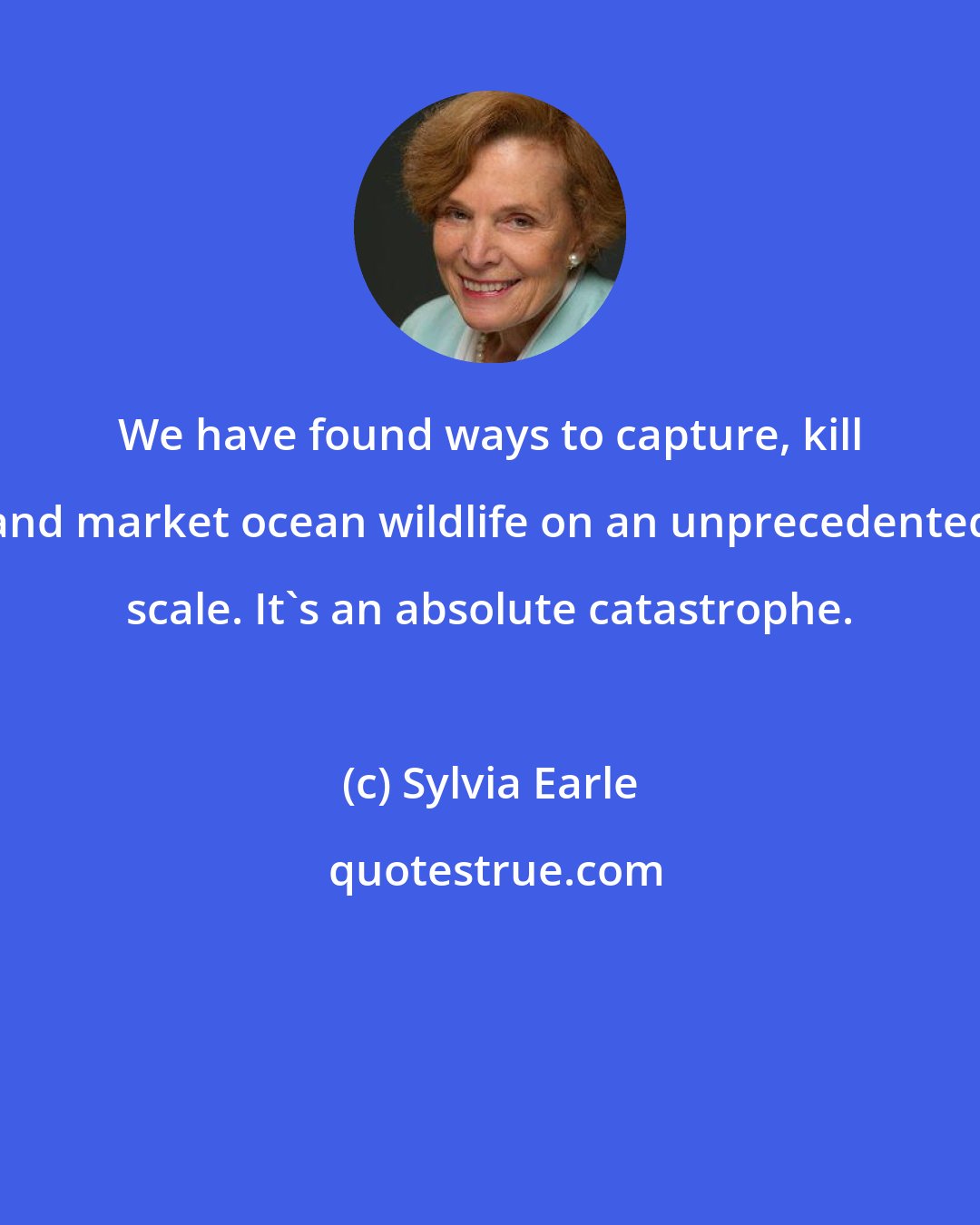 Sylvia Earle: We have found ways to capture, kill and market ocean wildlife on an unprecedented scale. It's an absolute catastrophe.