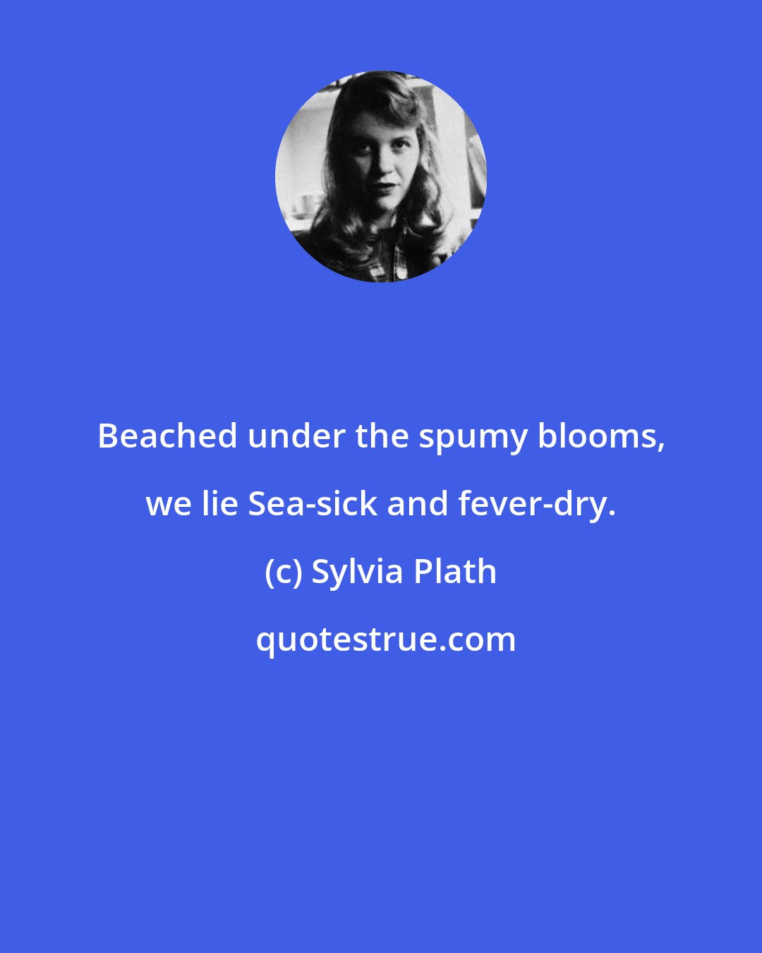Sylvia Plath: Beached under the spumy blooms, we lie Sea-sick and fever-dry.