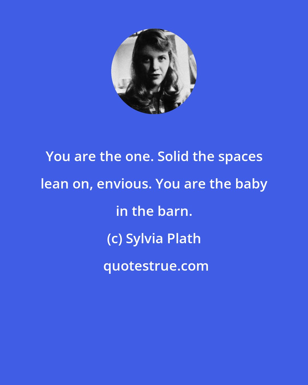 Sylvia Plath: You are the one. Solid the spaces lean on, envious. You are the baby in the barn.