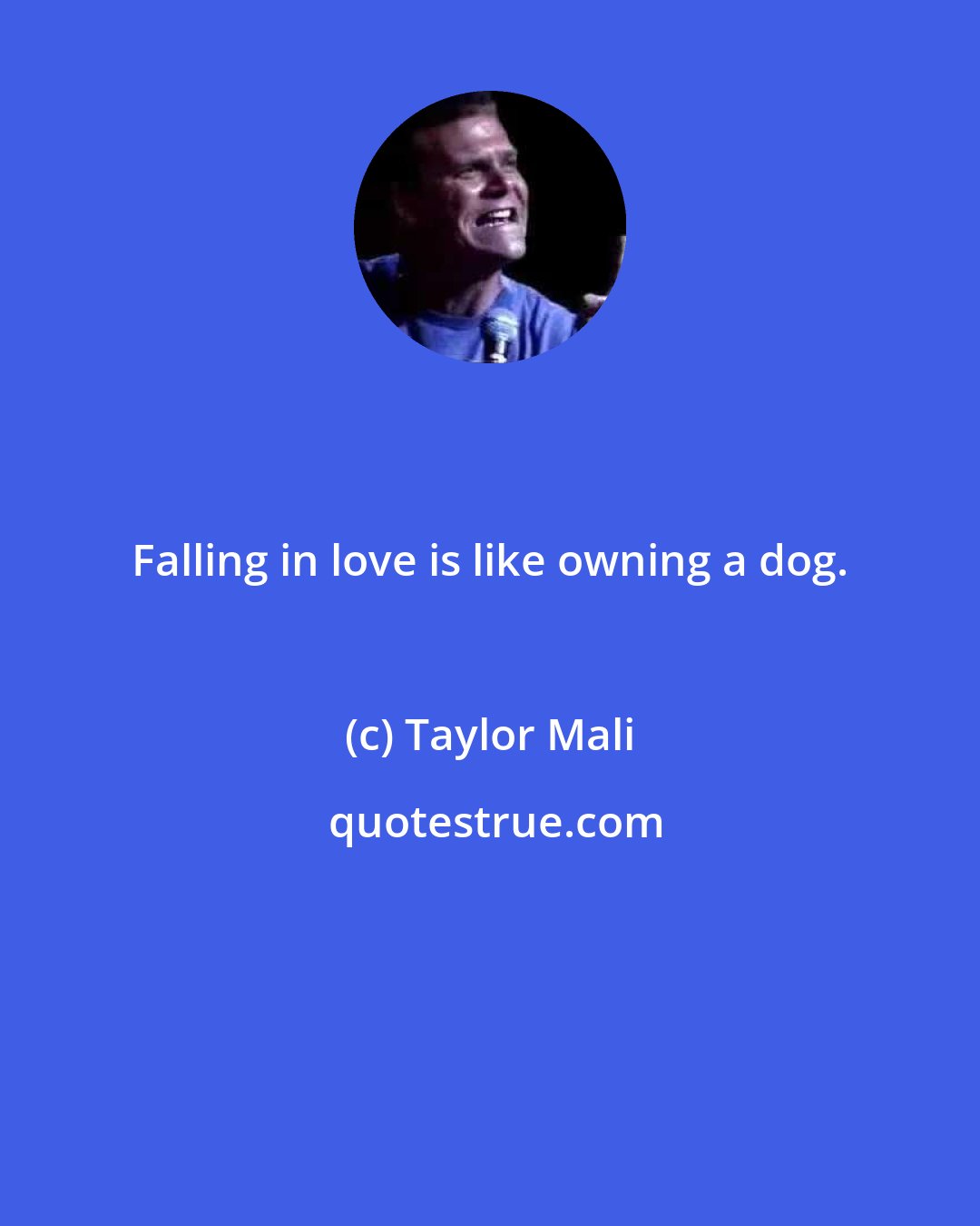 Taylor Mali: Falling in love is like owning a dog.