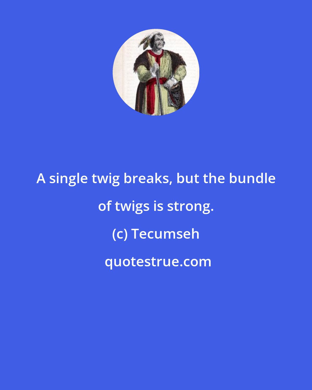 Tecumseh: A single twig breaks, but the bundle of twigs is strong.