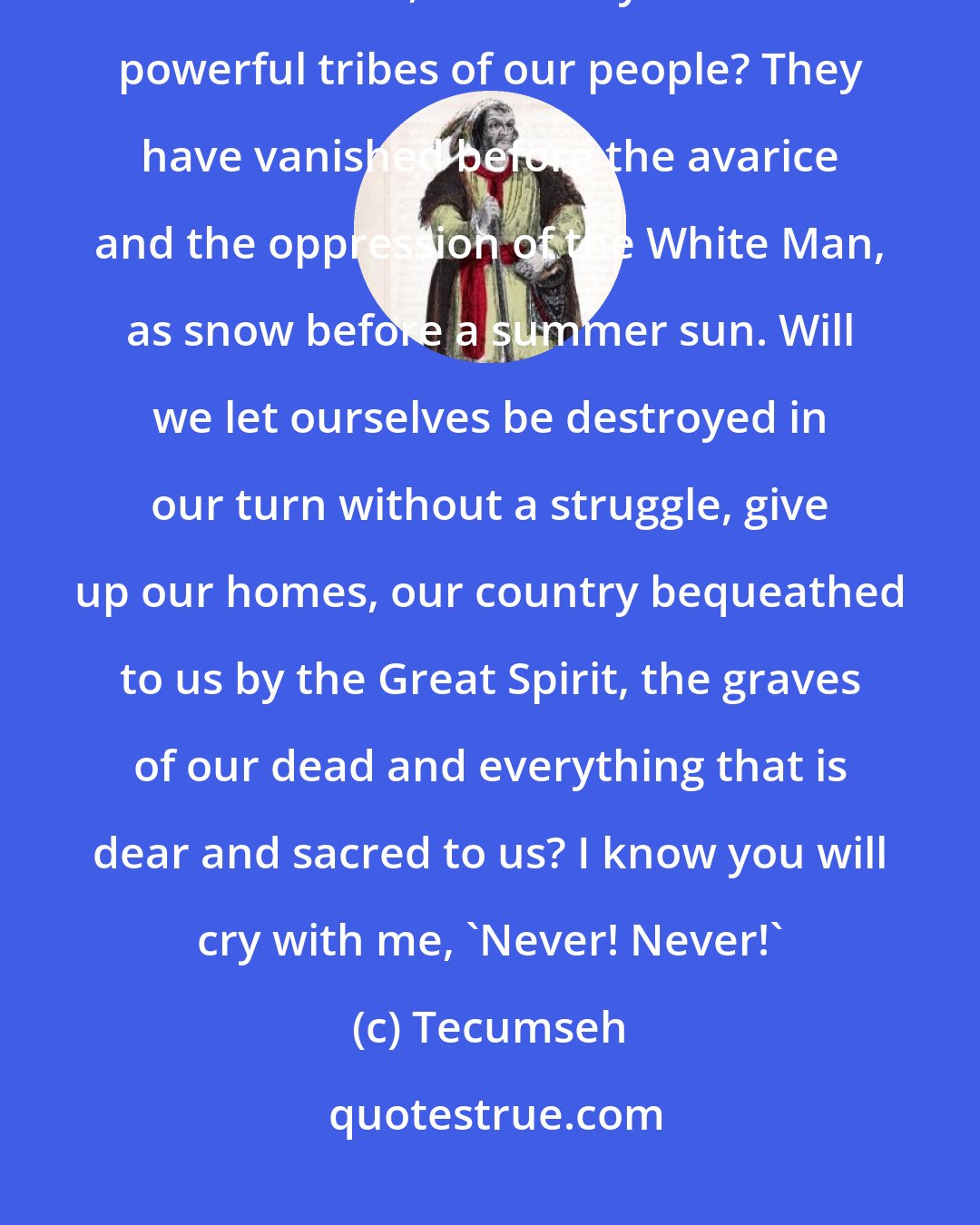 Tecumseh: Where today are the Pequot? Where are the Narragansett, the Mohican, the Pokanoket, and many other once powerful tribes of our people? They have vanished before the avarice and the oppression of the White Man, as snow before a summer sun. Will we let ourselves be destroyed in our turn without a struggle, give up our homes, our country bequeathed to us by the Great Spirit, the graves of our dead and everything that is dear and sacred to us? I know you will cry with me, 'Never! Never!'