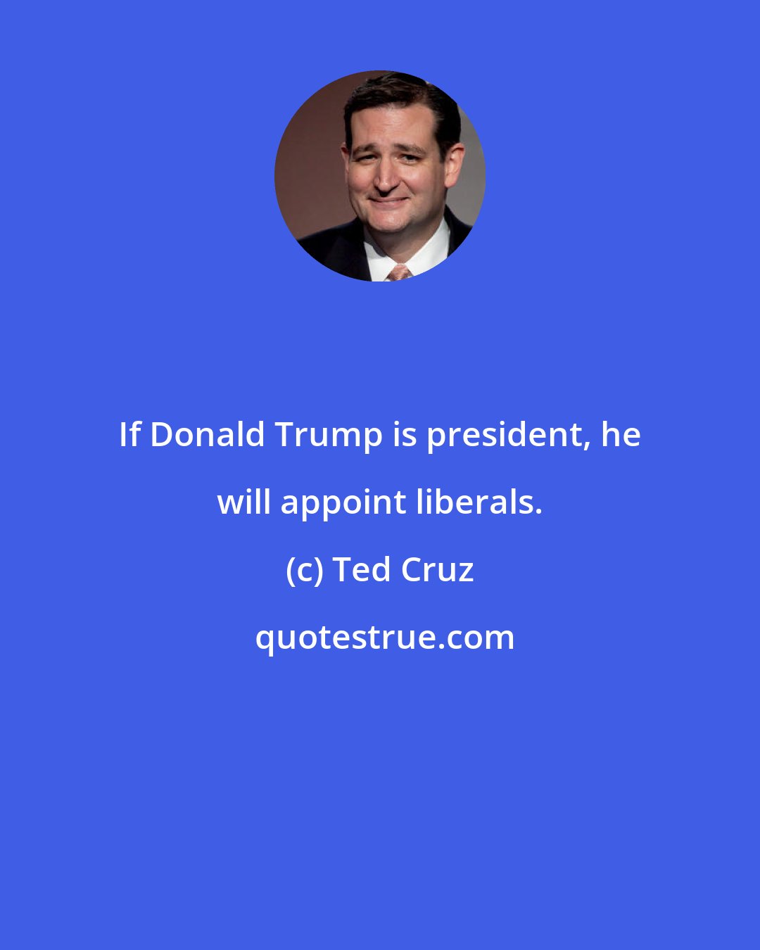 Ted Cruz: If Donald Trump is president, he will appoint liberals.