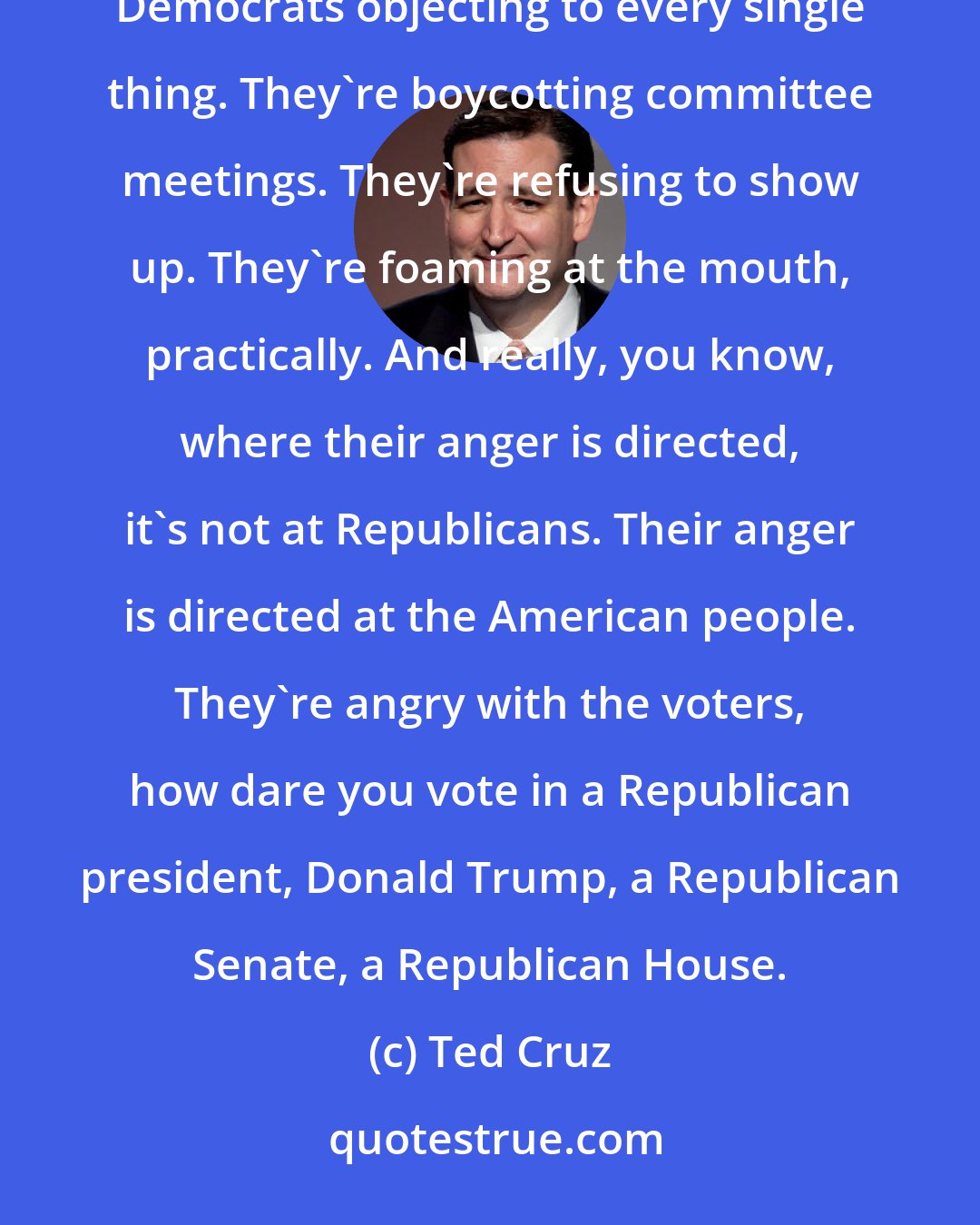 Ted Cruz: The Democrats are angry, and they're out of their minds. You know, we're seeing in the Senate, the Senate Democrats objecting to every single thing. They're boycotting committee meetings. They're refusing to show up. They're foaming at the mouth, practically. And really, you know, where their anger is directed, it's not at Republicans. Their anger is directed at the American people. They're angry with the voters, how dare you vote in a Republican president, Donald Trump, a Republican Senate, a Republican House.