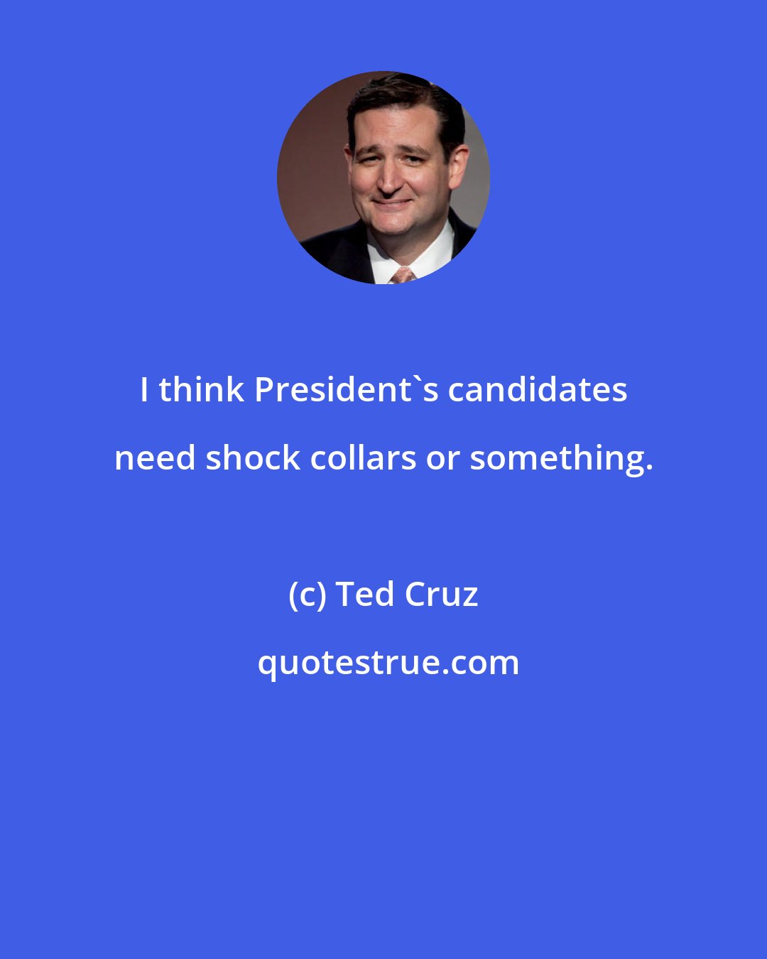 Ted Cruz: I think President's candidates need shock collars or something.