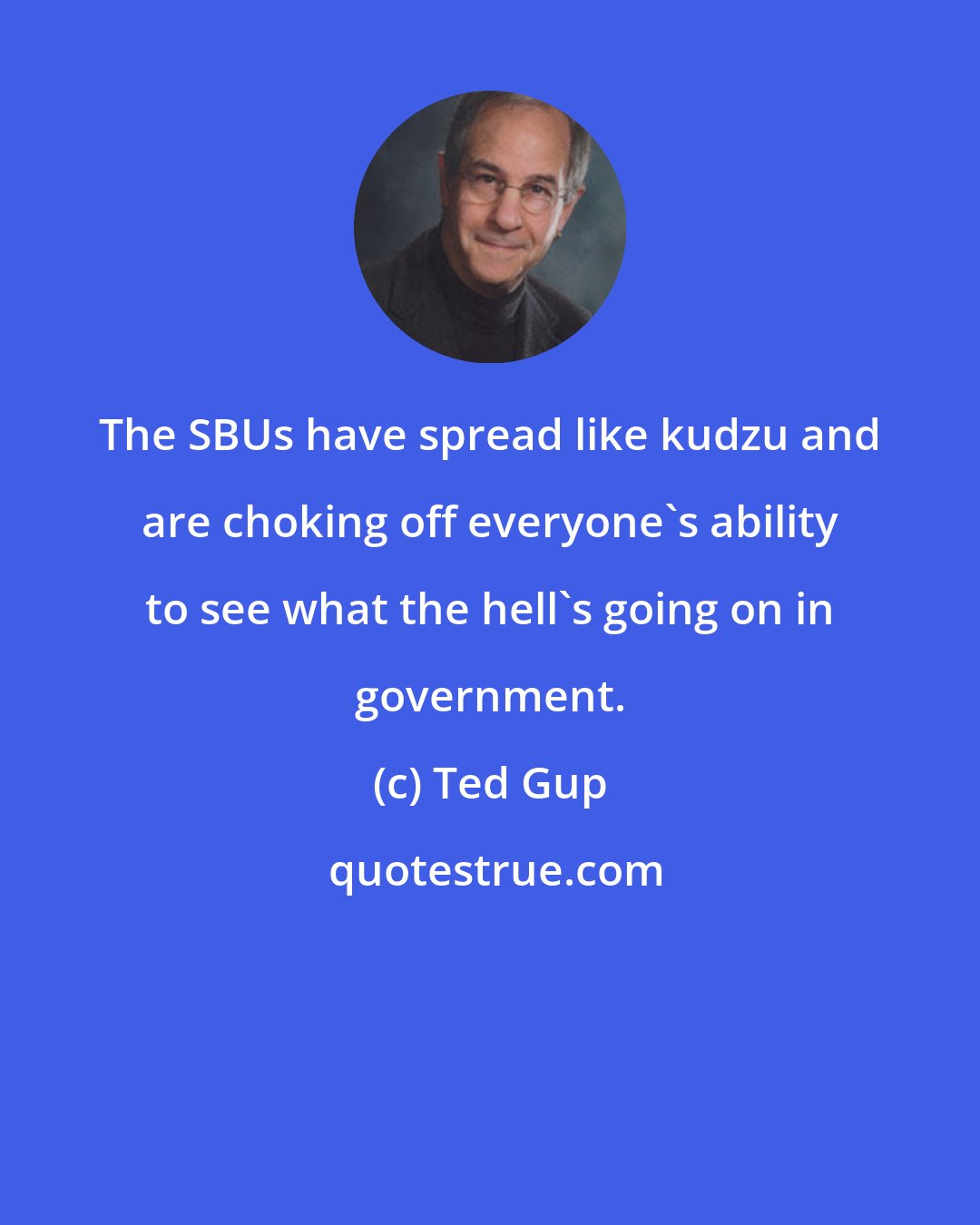 Ted Gup: The SBUs have spread like kudzu and are choking off everyone's ability to see what the hell's going on in government.