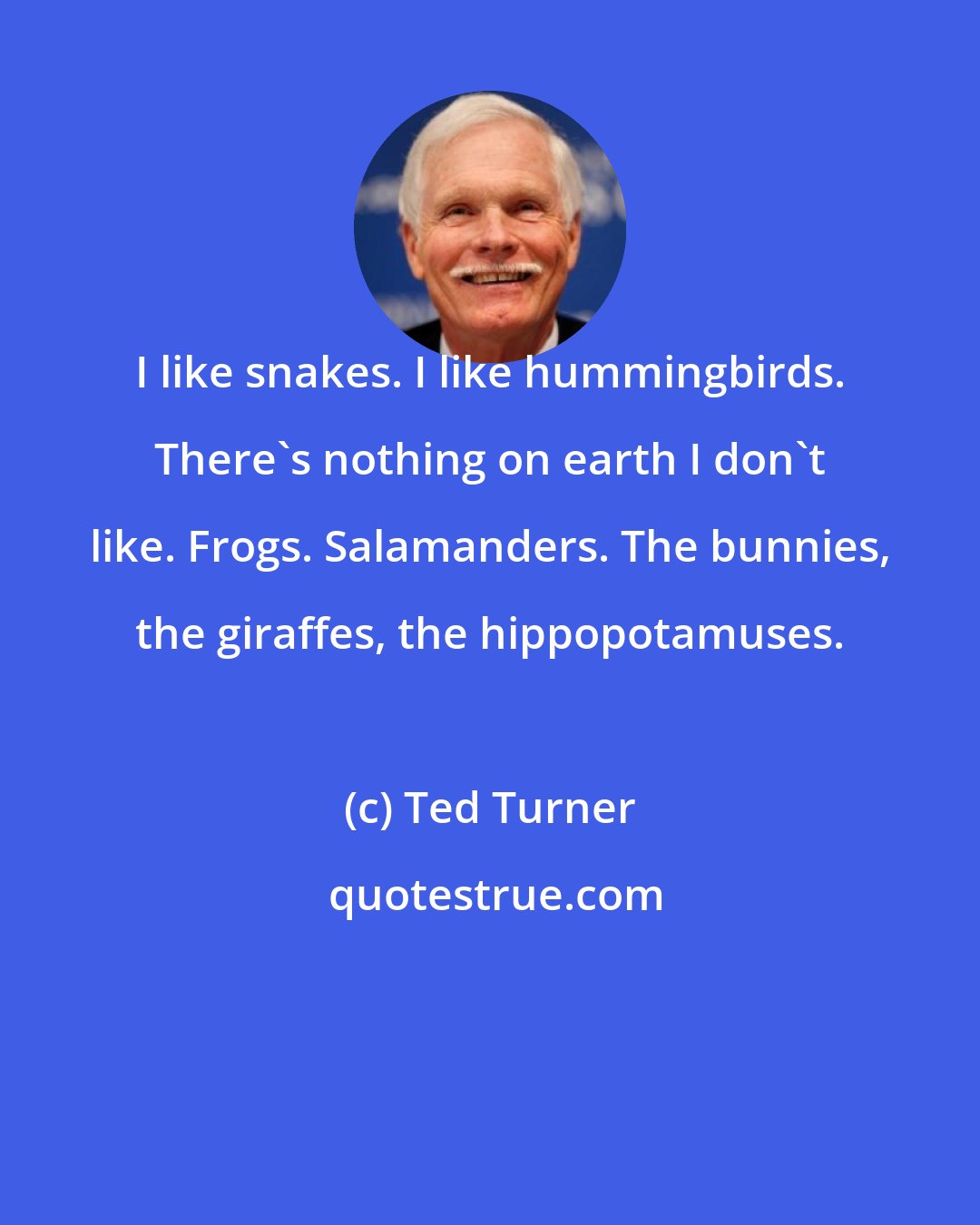 Ted Turner: I like snakes. I like hummingbirds. There's nothing on earth I don't like. Frogs. Salamanders. The bunnies, the giraffes, the hippopotamuses.