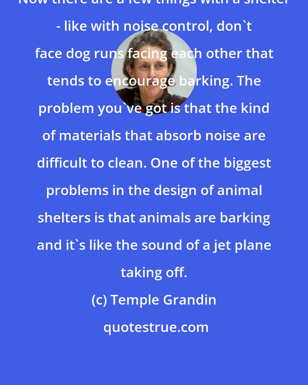Temple Grandin: Now there are a few things with a shelter - like with noise control, don't face dog runs facing each other that tends to encourage barking. The problem you've got is that the kind of materials that absorb noise are difficult to clean. One of the biggest problems in the design of animal shelters is that animals are barking and it's like the sound of a jet plane taking off.
