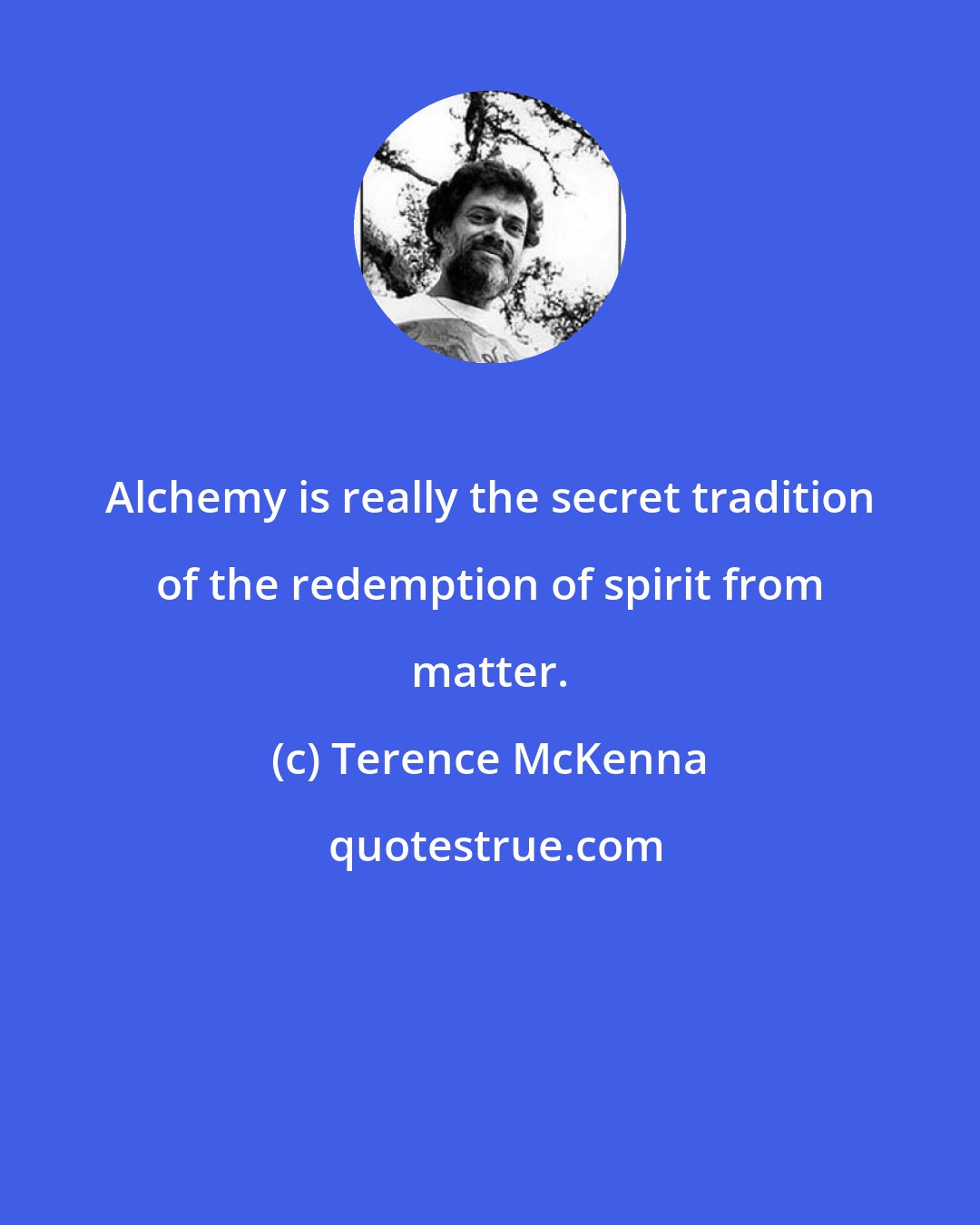 Terence McKenna: Alchemy is really the secret tradition of the redemption of spirit from matter.