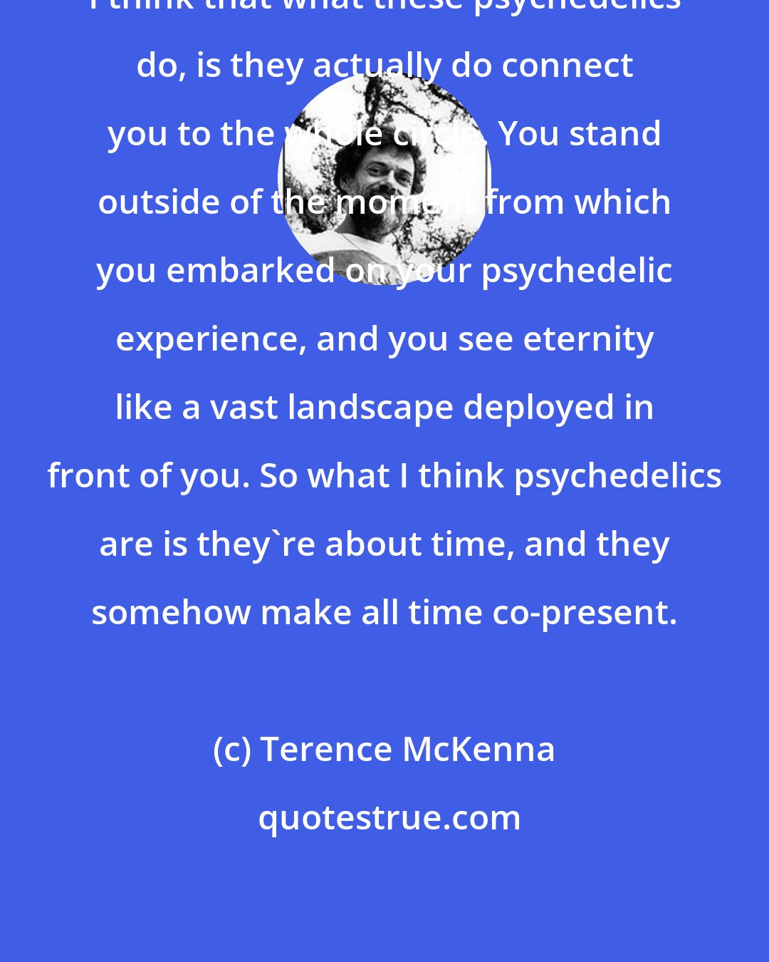Terence McKenna: I think that what these psychedelics do, is they actually do connect you to the whole circle. You stand outside of the moment from which you embarked on your psychedelic experience, and you see eternity like a vast landscape deployed in front of you. So what I think psychedelics are is they're about time, and they somehow make all time co-present.