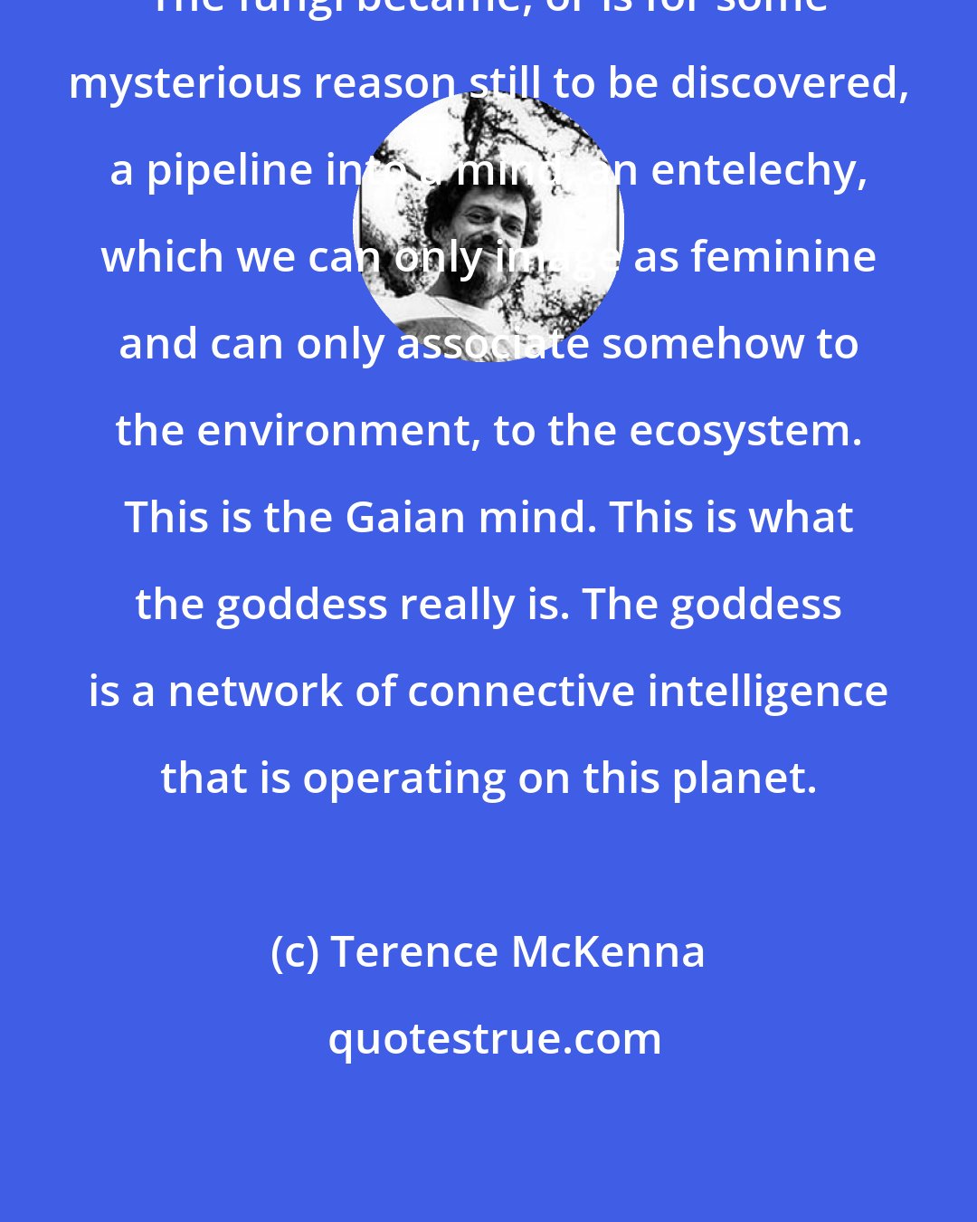 Terence McKenna: The fungi became, or is for some mysterious reason still to be discovered, a pipeline into a mind, an entelechy, which we can only image as feminine and can only associate somehow to the environment, to the ecosystem. This is the Gaian mind. This is what the goddess really is. The goddess is a network of connective intelligence that is operating on this planet.