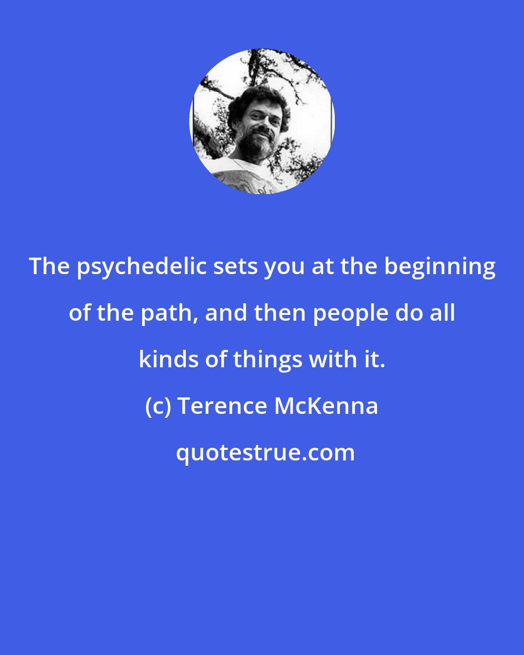Terence McKenna: The psychedelic sets you at the beginning of the path, and then people do all kinds of things with it.