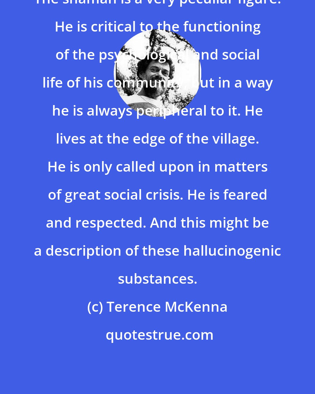 Terence McKenna: The shaman is a very peculiar figure. He is critical to the functioning of the psychological and social life of his community, but in a way he is always peripheral to it. He lives at the edge of the village. He is only called upon in matters of great social crisis. He is feared and respected. And this might be a description of these hallucinogenic substances.