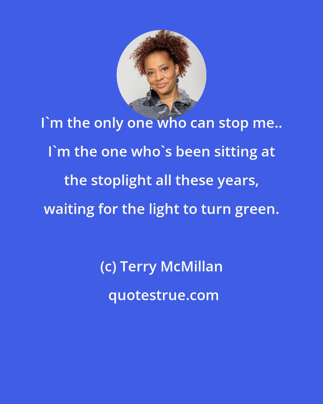 Terry McMillan: I'm the only one who can stop me.. I'm the one who's been sitting at the stoplight all these years, waiting for the light to turn green.