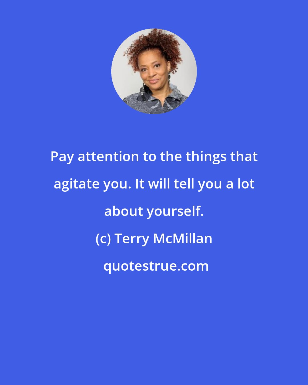 Terry McMillan: Pay attention to the things that agitate you. It will tell you a lot about yourself.