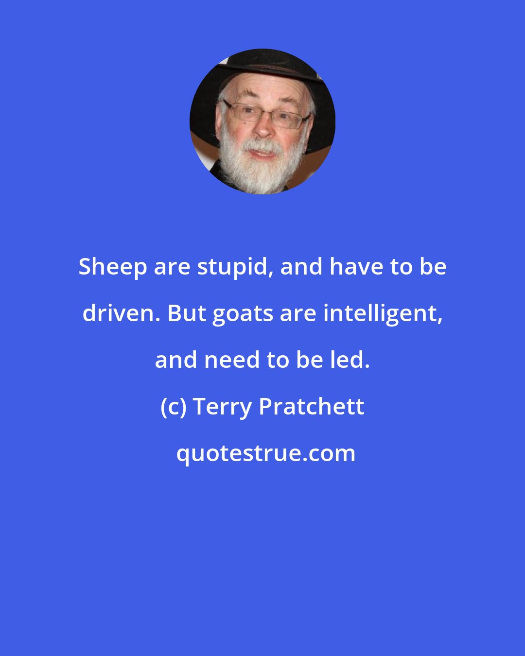 Terry Pratchett: Sheep are stupid, and have to be driven. But goats are intelligent, and need to be led.