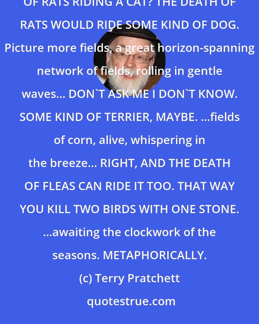 Terry Pratchett: Picture a tall, dark figure, surrounded by cornfields... NO, YOU CAN'T RIDE A CAT. WHO EVER HEARD OF THE DEATH OF RATS RIDING A CAT? THE DEATH OF RATS WOULD RIDE SOME KIND OF DOG. Picture more fields, a great horizon-spanning network of fields, rolling in gentle waves... DON'T ASK ME I DON'T KNOW. SOME KIND OF TERRIER, MAYBE. ...fields of corn, alive, whispering in the breeze... RIGHT, AND THE DEATH OF FLEAS CAN RIDE IT TOO. THAT WAY YOU KILL TWO BIRDS WITH ONE STONE. ...awaiting the clockwork of the seasons. METAPHORICALLY.