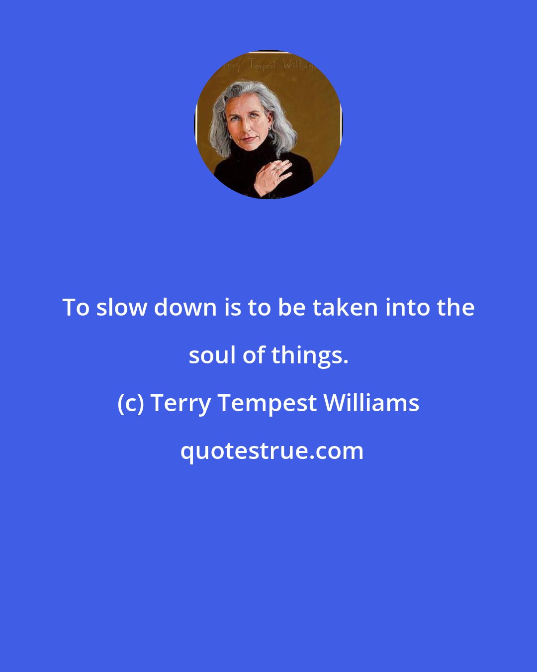 Terry Tempest Williams: To slow down is to be taken into the soul of things.