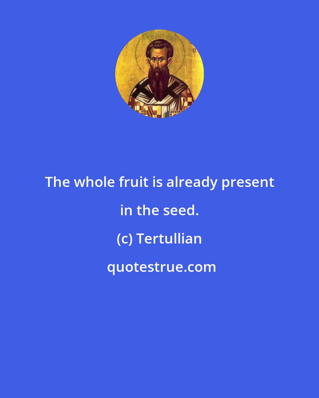 Tertullian: The whole fruit is already present in the seed.