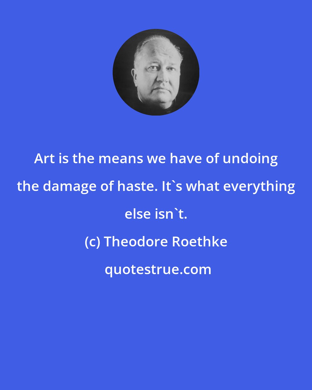 Theodore Roethke: Art is the means we have of undoing the damage of haste. It's what everything else isn't.