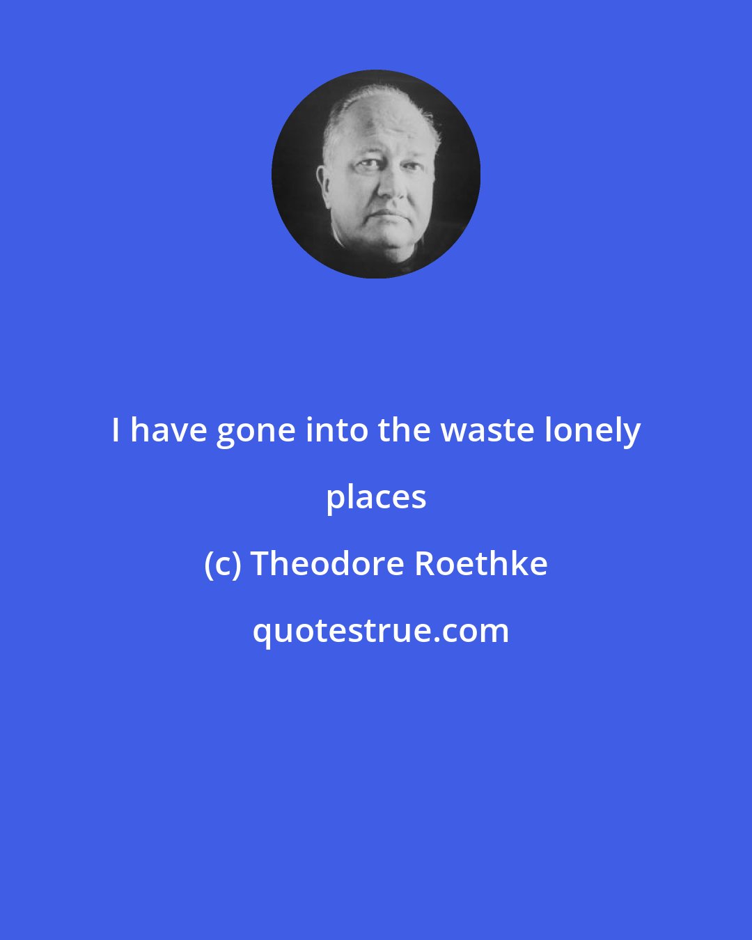 Theodore Roethke: I have gone into the waste lonely places