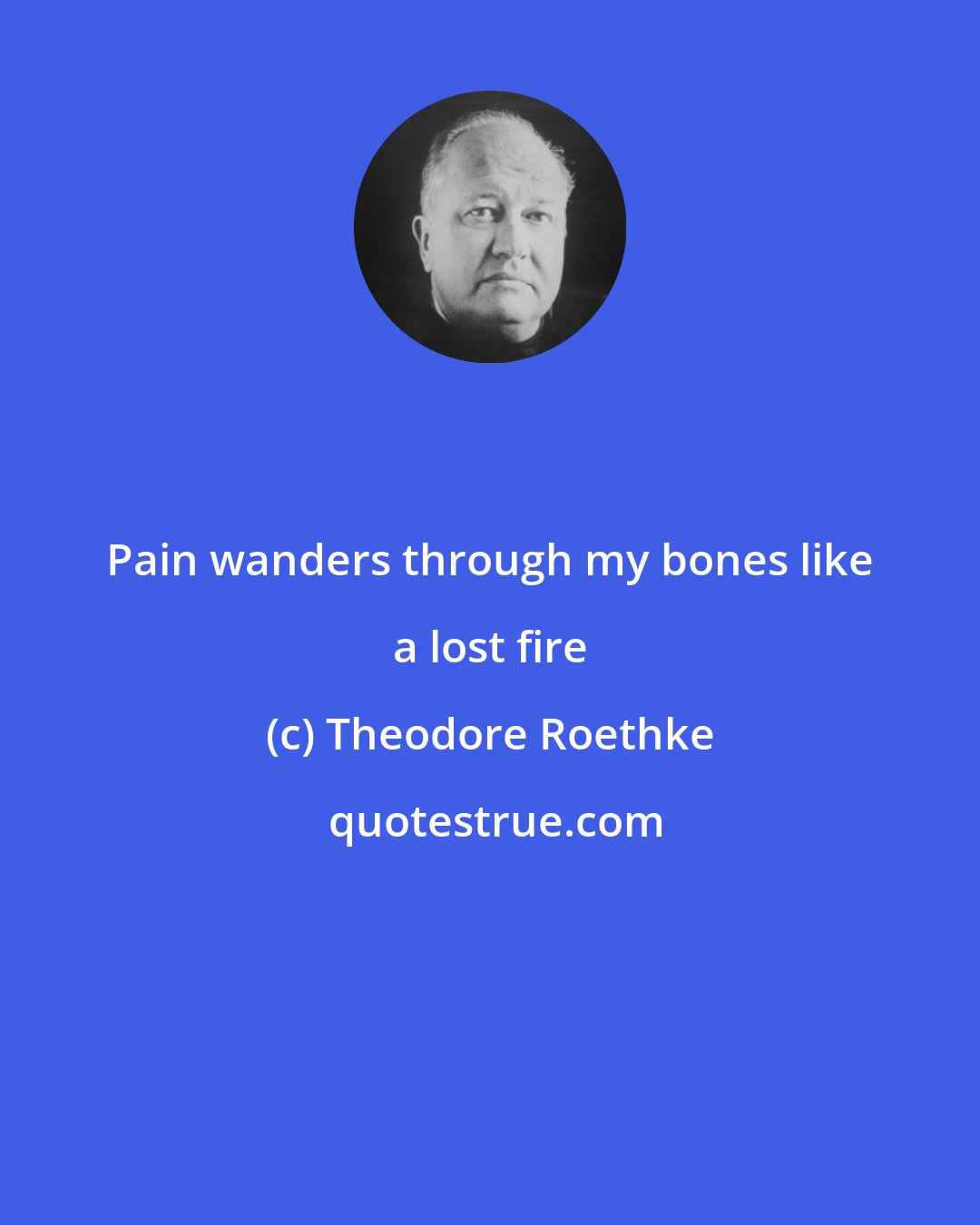 Theodore Roethke: Pain wanders through my bones like a lost fire