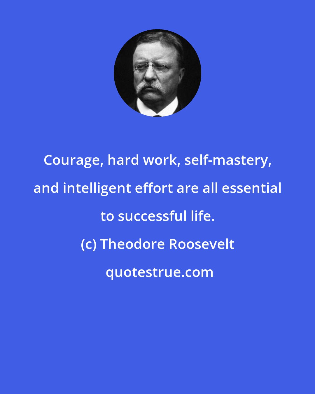 Theodore Roosevelt: Courage, hard work, self-mastery, and intelligent effort are all essential to successful life.