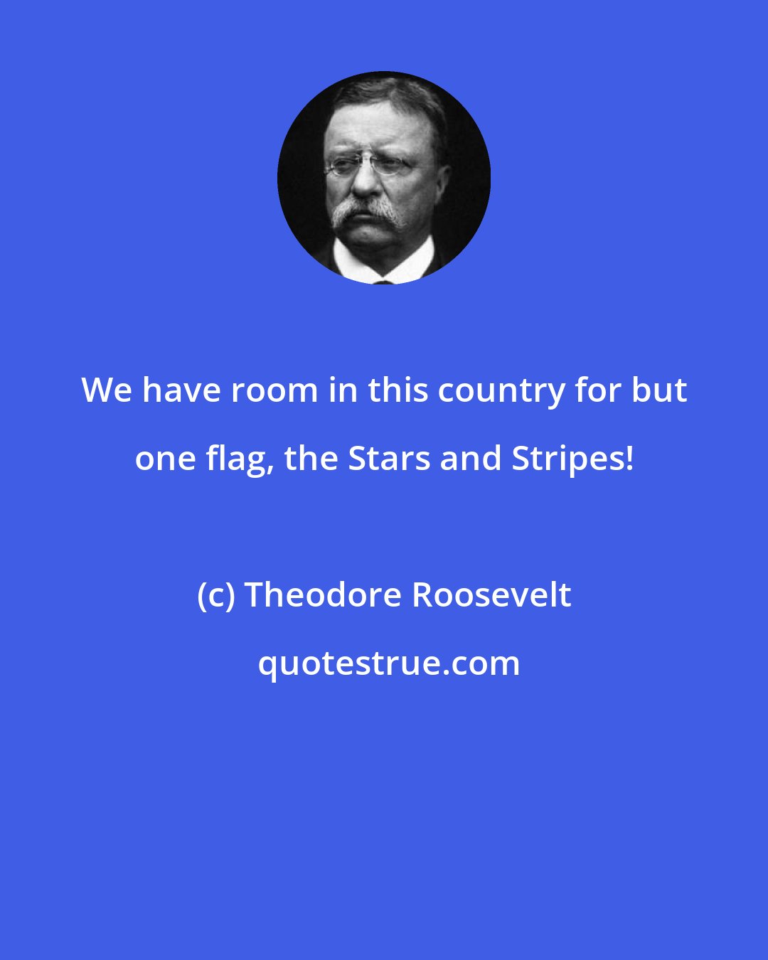 Theodore Roosevelt: We have room in this country for but one flag, the Stars and Stripes!