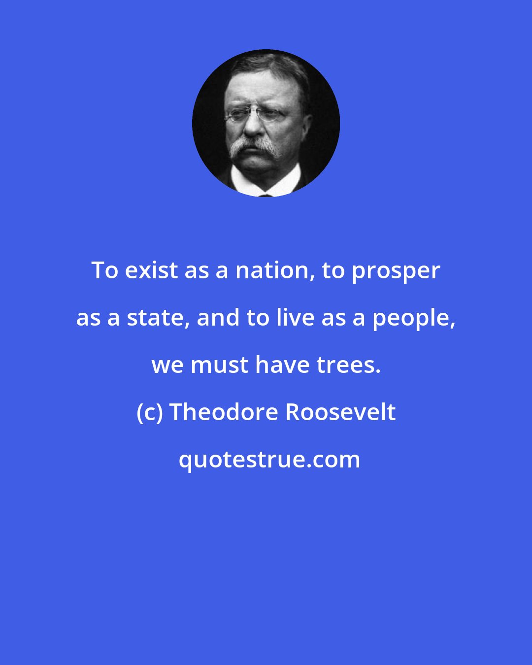 Theodore Roosevelt: To exist as a nation, to prosper as a state, and to live as a people, we must have trees.