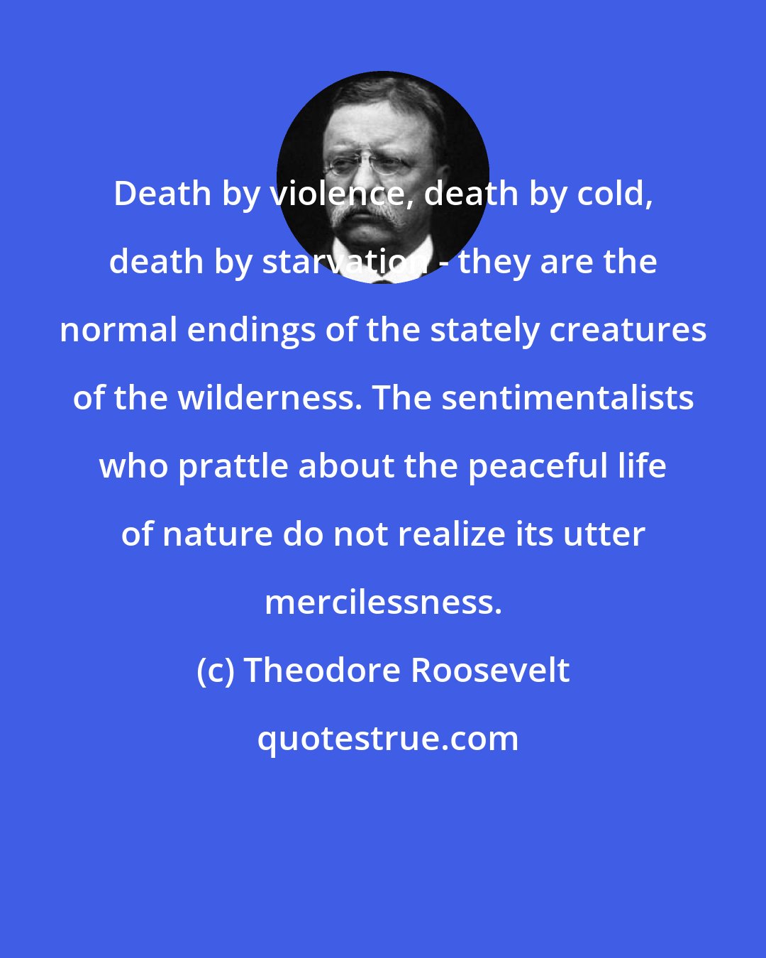 Theodore Roosevelt: Death by violence, death by cold, death by starvation - they are the normal endings of the stately creatures of the wilderness. The sentimentalists who prattle about the peaceful life of nature do not realize its utter mercilessness.