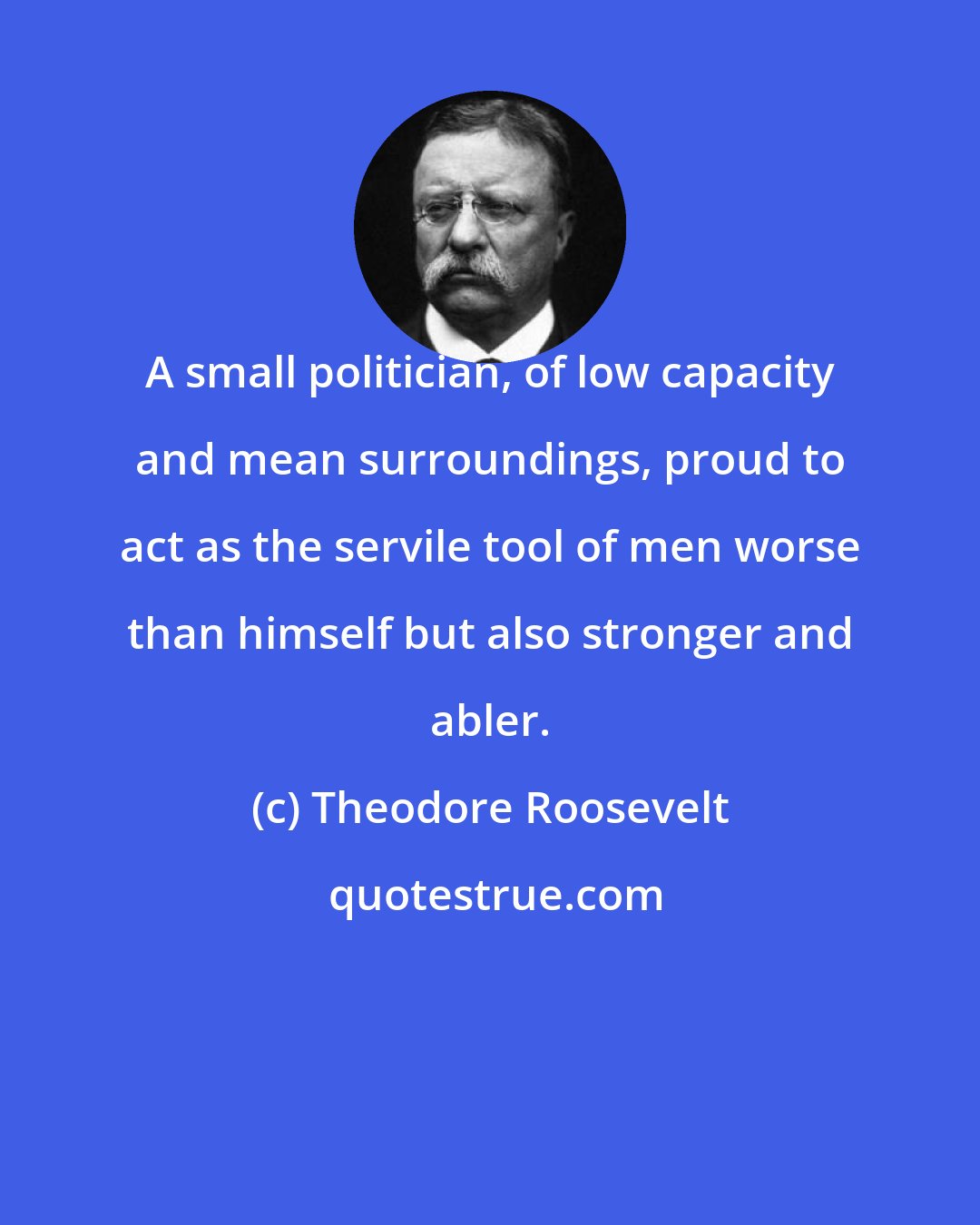 Theodore Roosevelt: A small politician, of low capacity and mean surroundings, proud to act as the servile tool of men worse than himself but also stronger and abler.