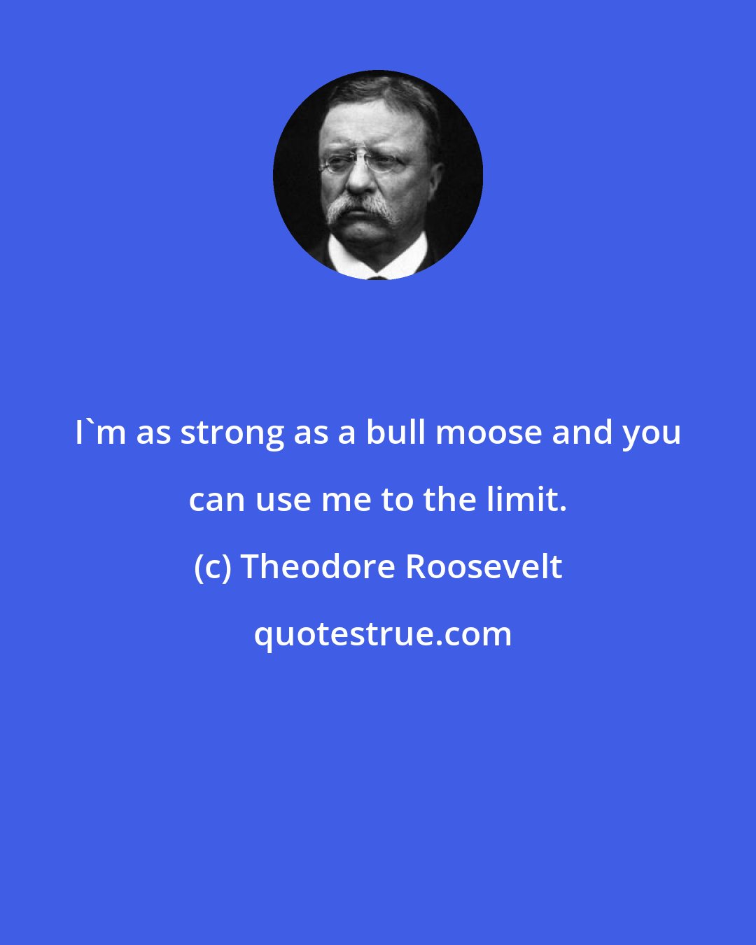 Theodore Roosevelt: I'm as strong as a bull moose and you can use me to the limit.
