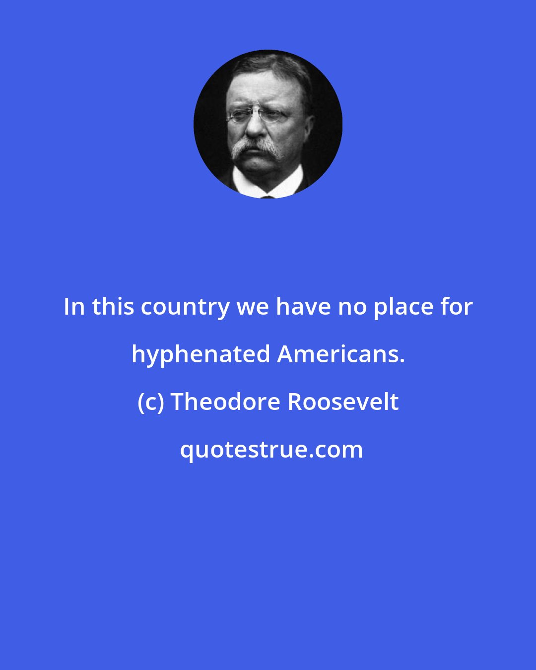 Theodore Roosevelt: In this country we have no place for hyphenated Americans.