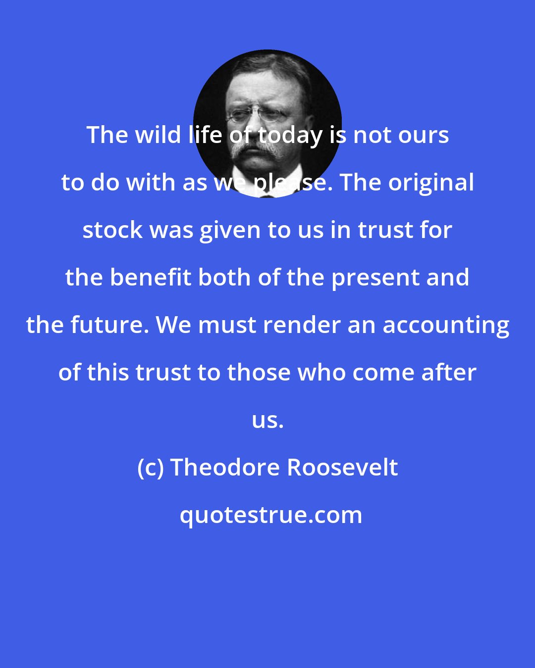 Theodore Roosevelt: The wild life of today is not ours to do with as we please. The original stock was given to us in trust for the benefit both of the present and the future. We must render an accounting of this trust to those who come after us.