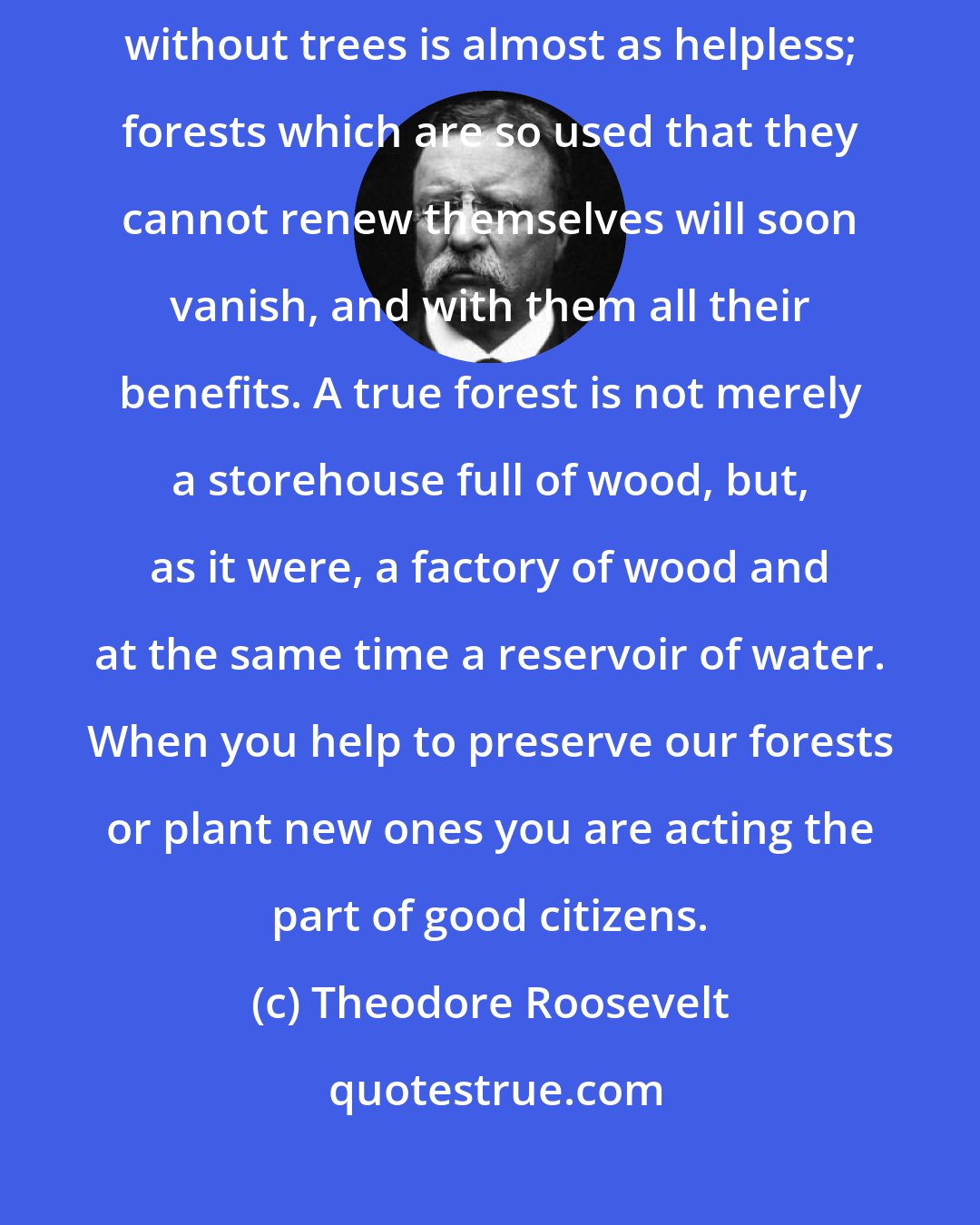 Theodore Roosevelt: A people without children would face a hopeless future; a country without trees is almost as helpless; forests which are so used that they cannot renew themselves will soon vanish, and with them all their benefits. A true forest is not merely a storehouse full of wood, but, as it were, a factory of wood and at the same time a reservoir of water. When you help to preserve our forests or plant new ones you are acting the part of good citizens.