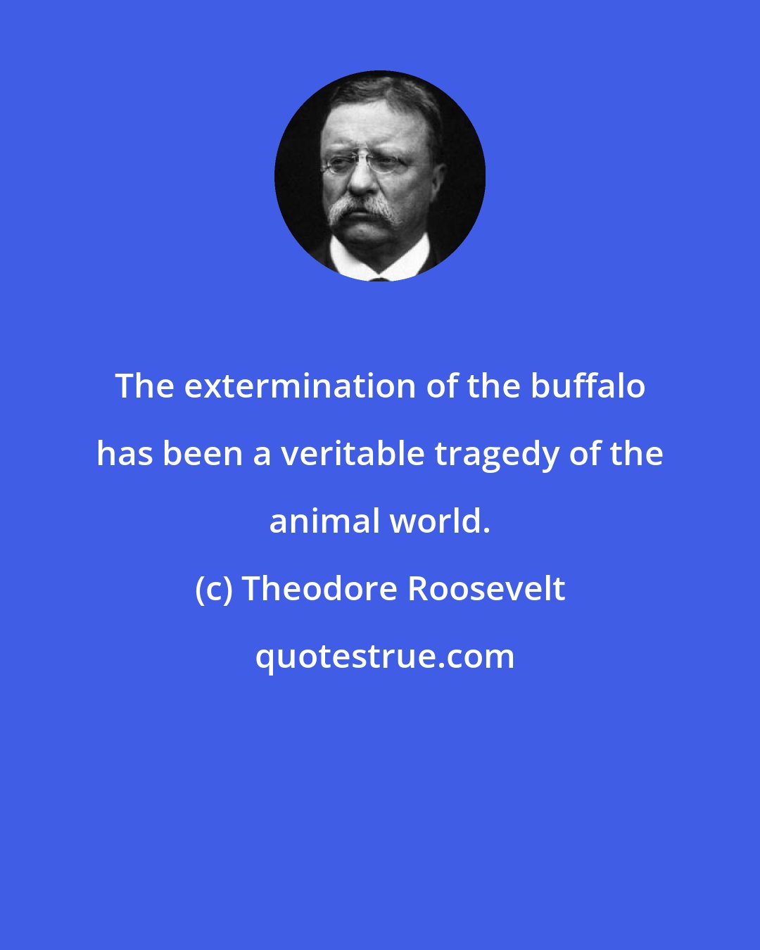 Theodore Roosevelt: The extermination of the buffalo has been a veritable tragedy of the animal world.