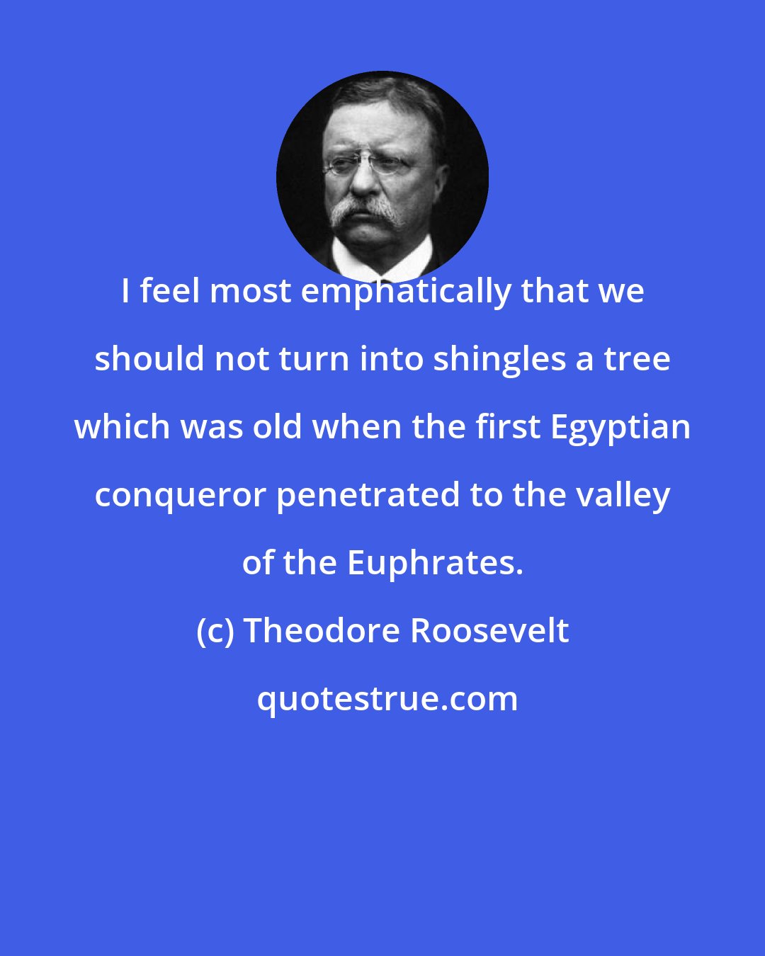 Theodore Roosevelt: I feel most emphatically that we should not turn into shingles a tree which was old when the first Egyptian conqueror penetrated to the valley of the Euphrates.