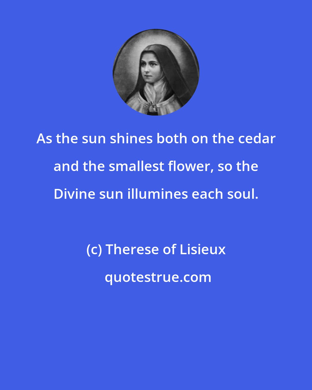 Therese of Lisieux: As the sun shines both on the cedar and the smallest flower, so the Divine sun illumines each soul.