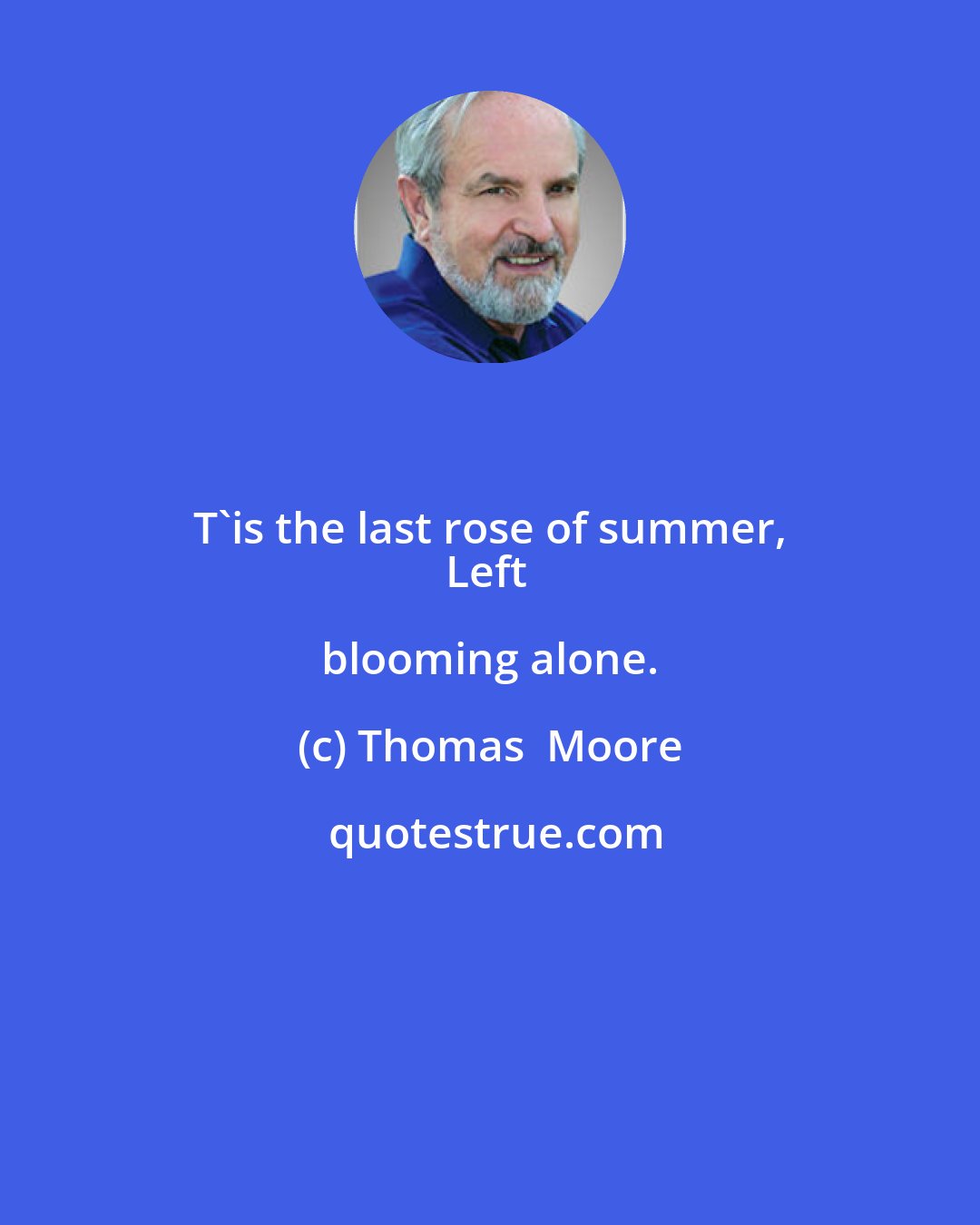 Thomas  Moore: T'is the last rose of summer, 
Left blooming alone.