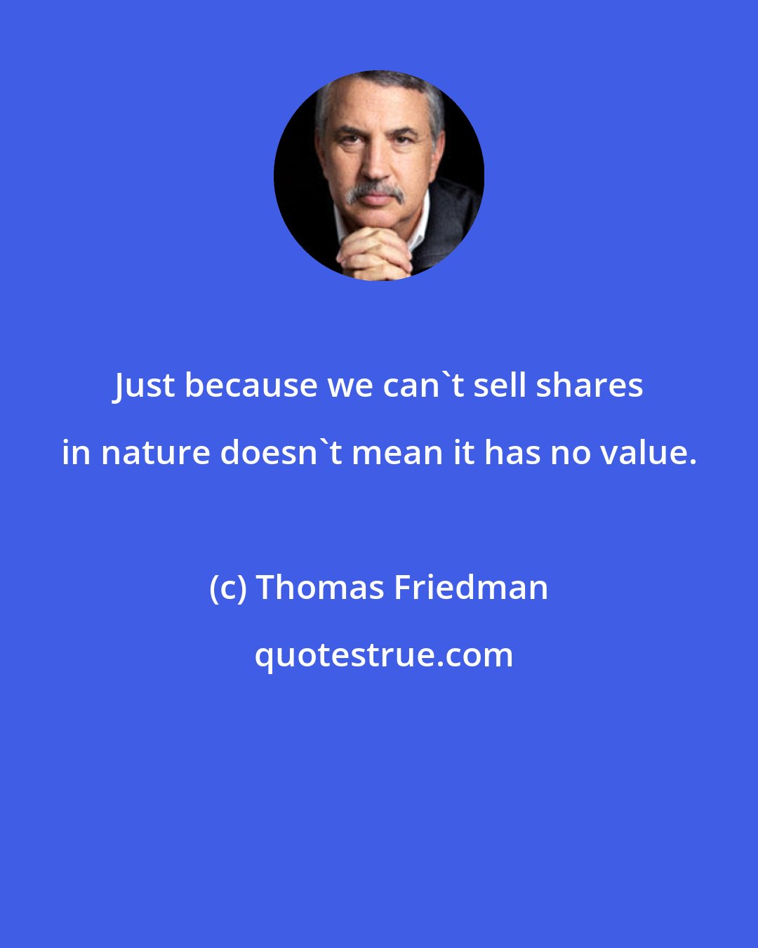 Thomas Friedman: Just because we can't sell shares in nature doesn't mean it has no value.