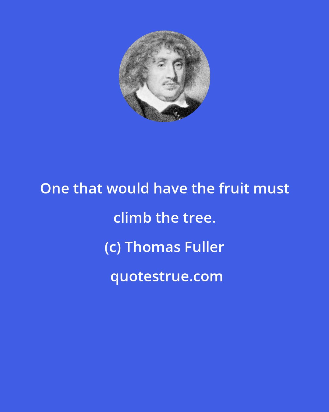 Thomas Fuller: One that would have the fruit must climb the tree.