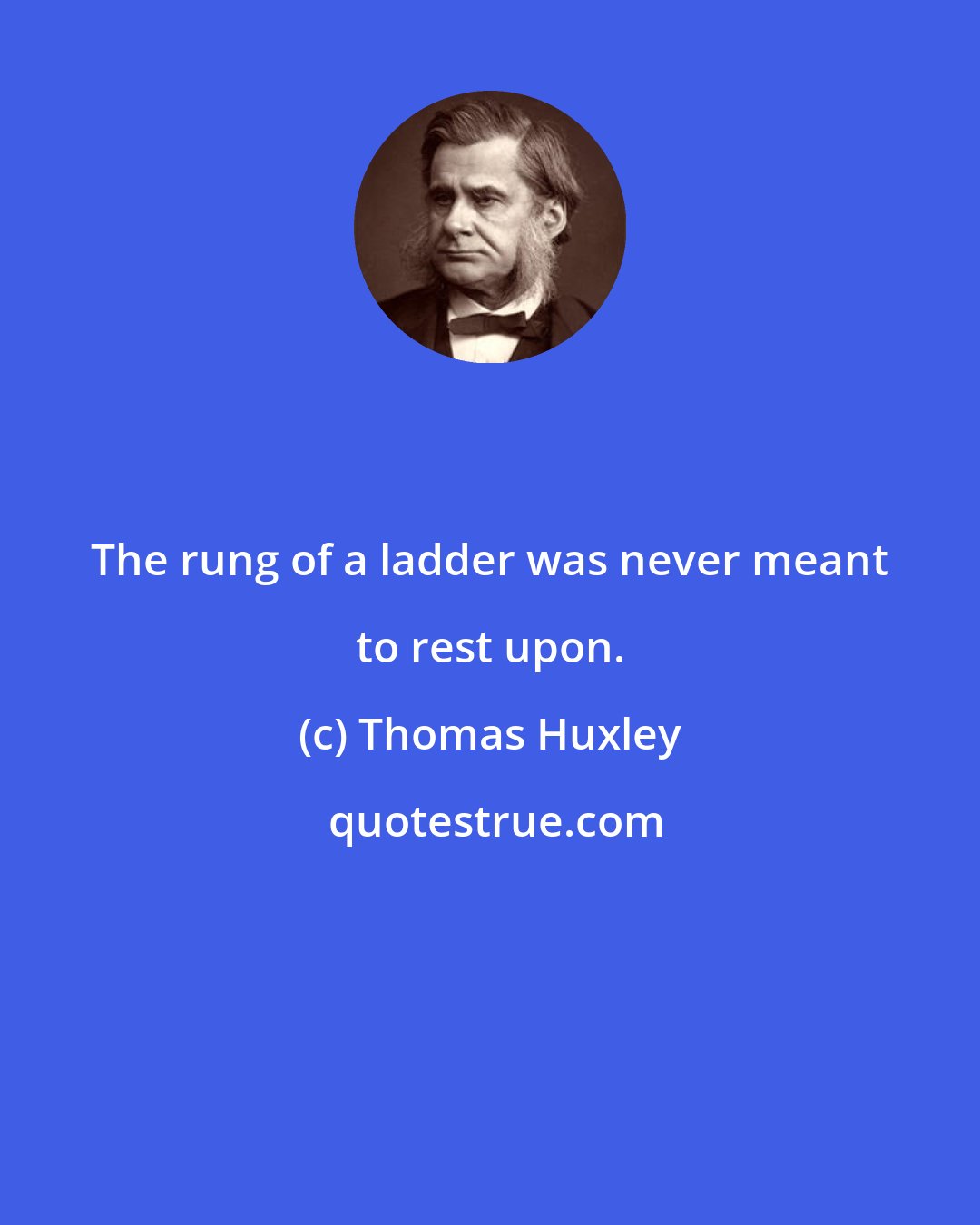 Thomas Huxley: The rung of a ladder was never meant to rest upon.